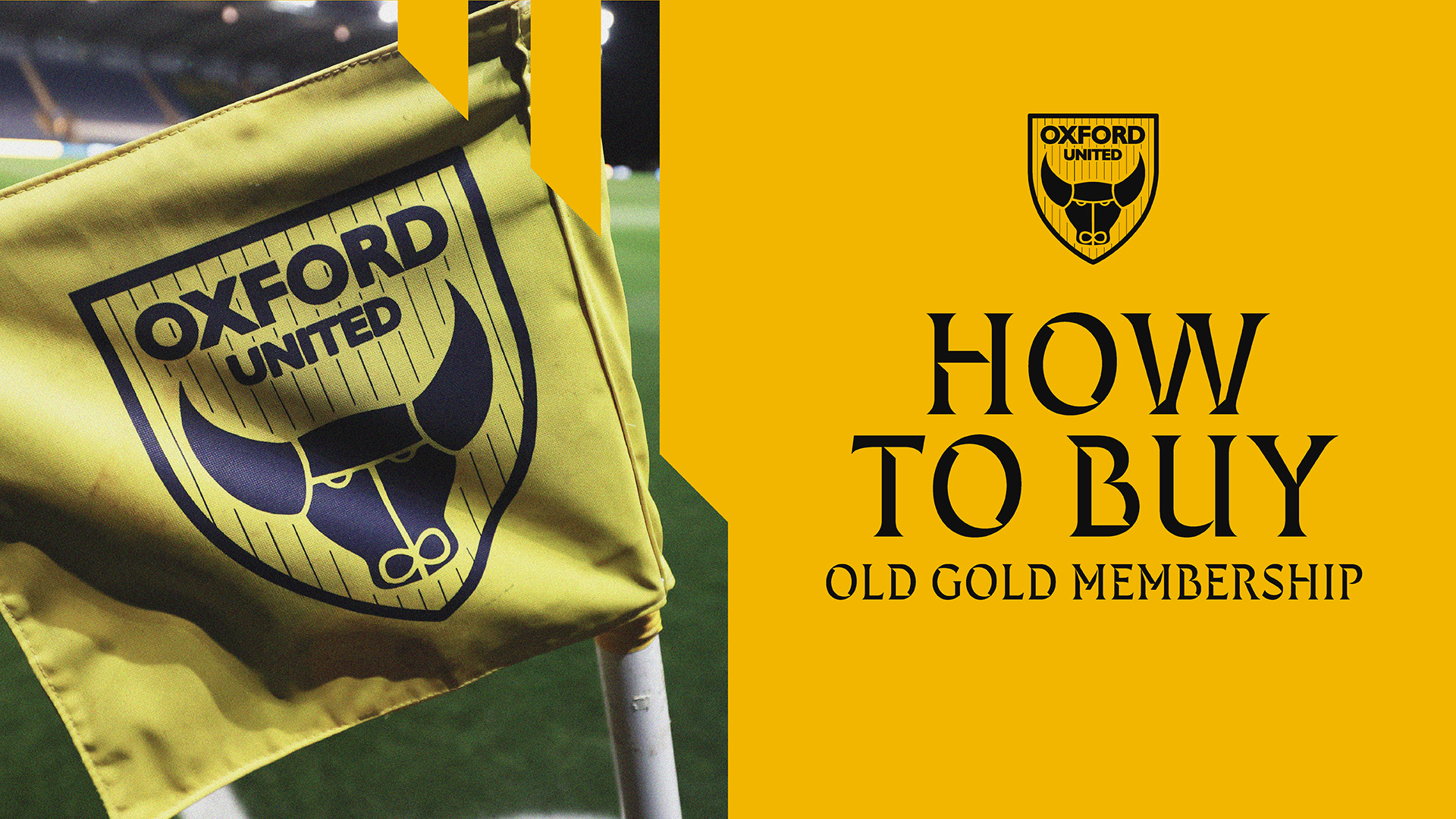 Old Gold Membership How To Buy