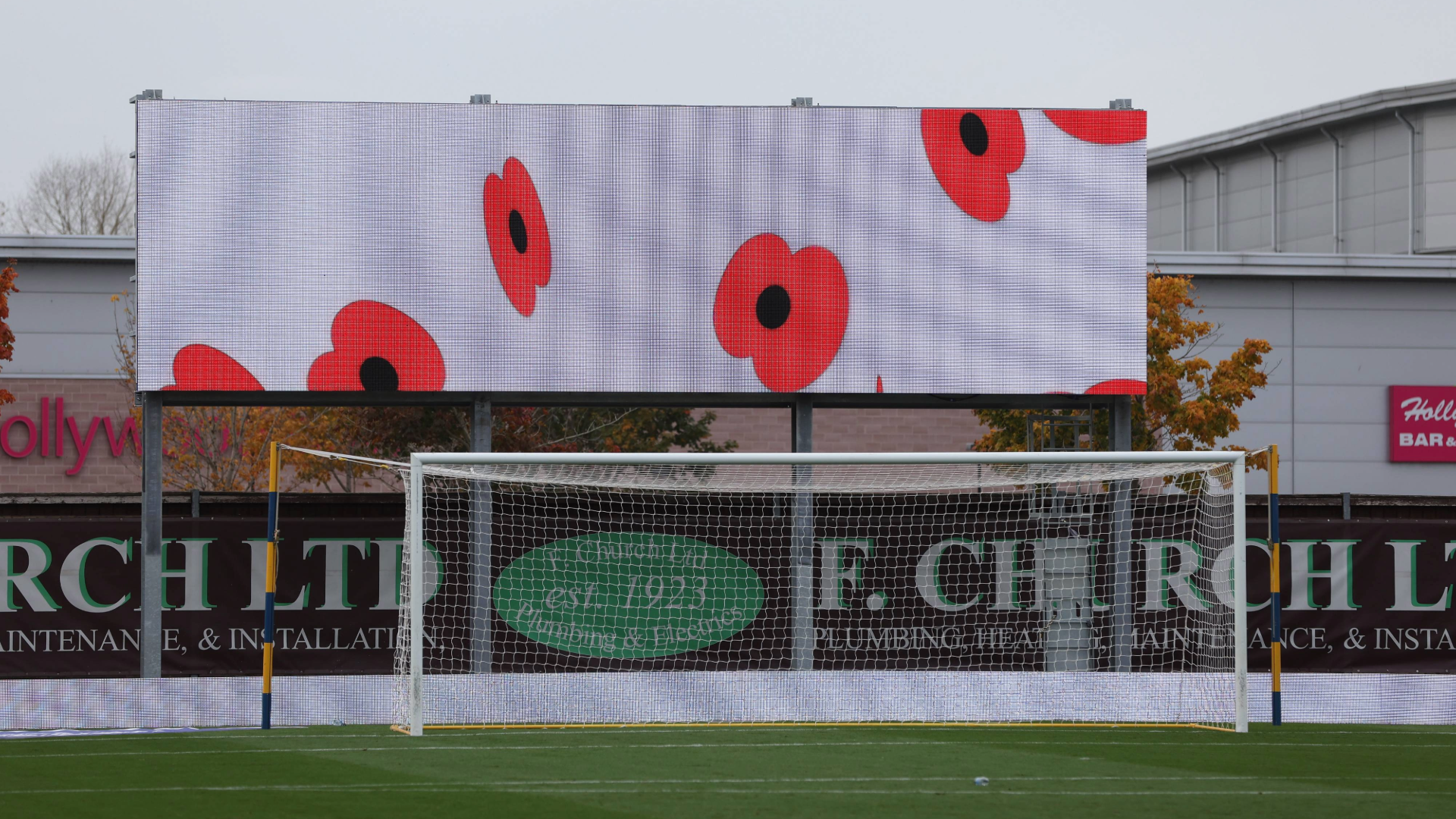 Poppies on Big Screen