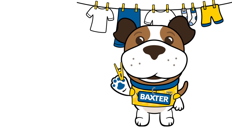 Baxter Washing Line