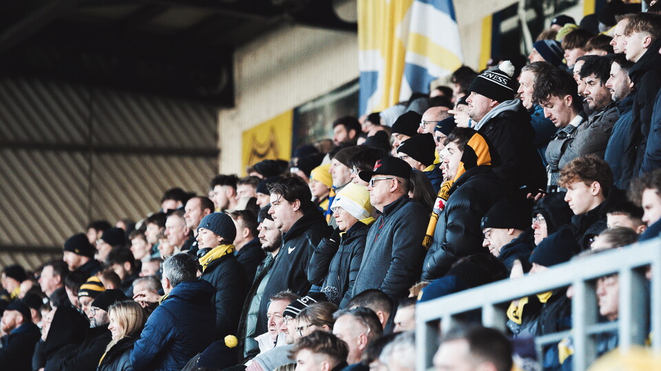 Yellows Faithful