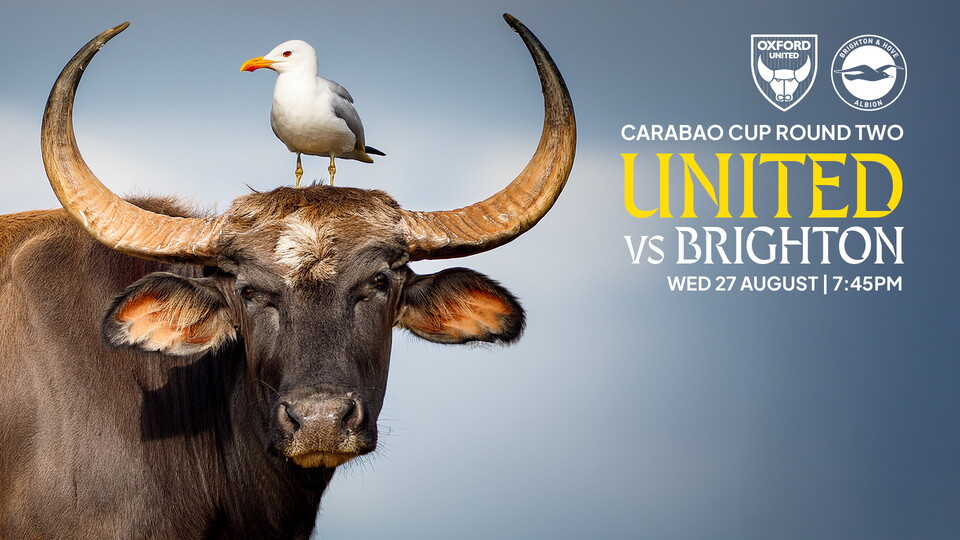 Brighton & Hove Albion