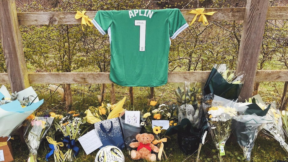 Amelia Aplin Memorial