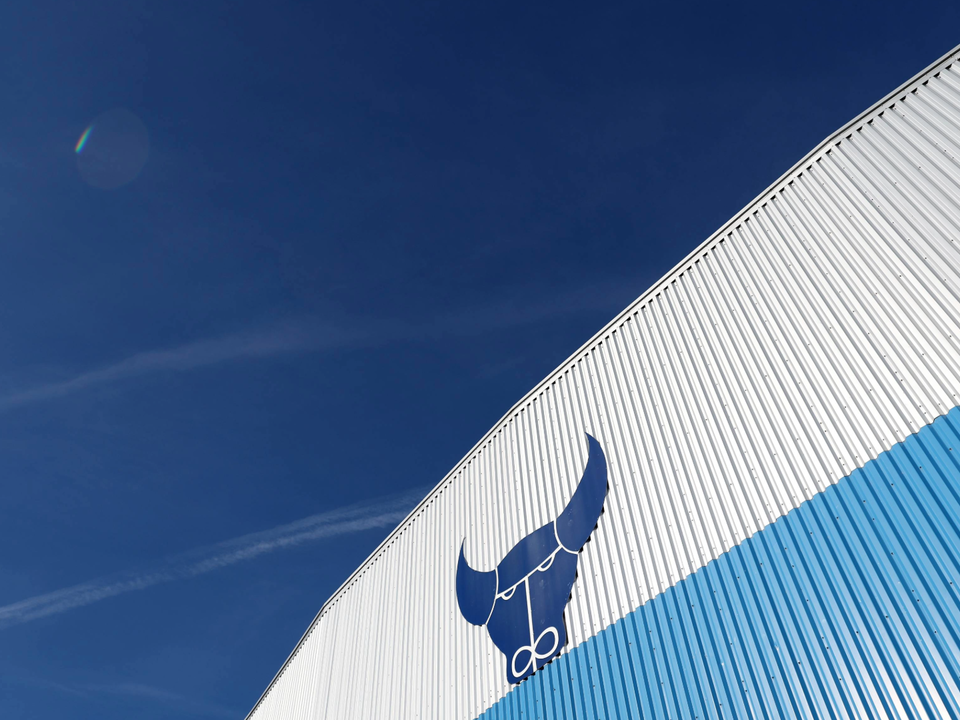 Stadium Ox